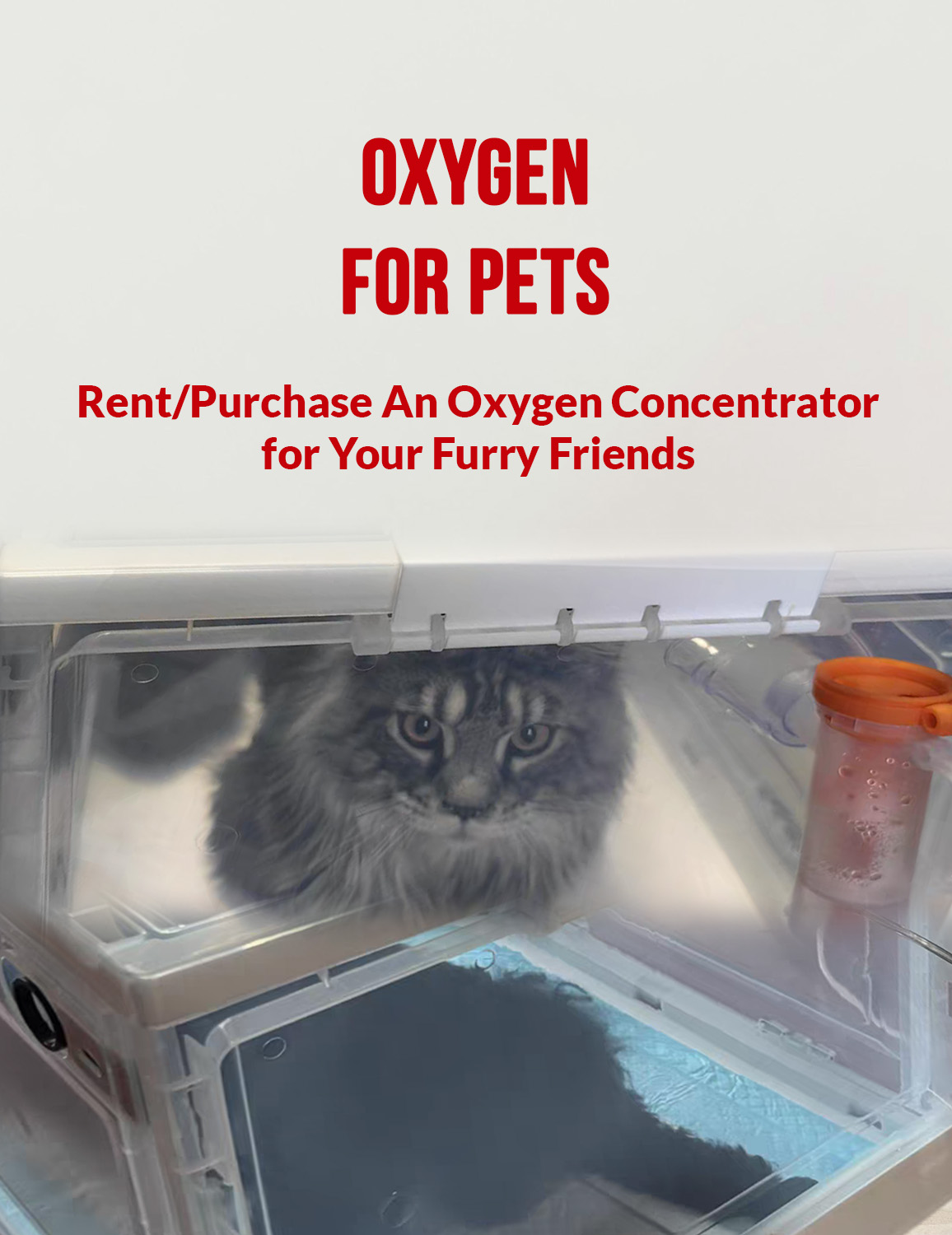Pets Oxygen Concentrator