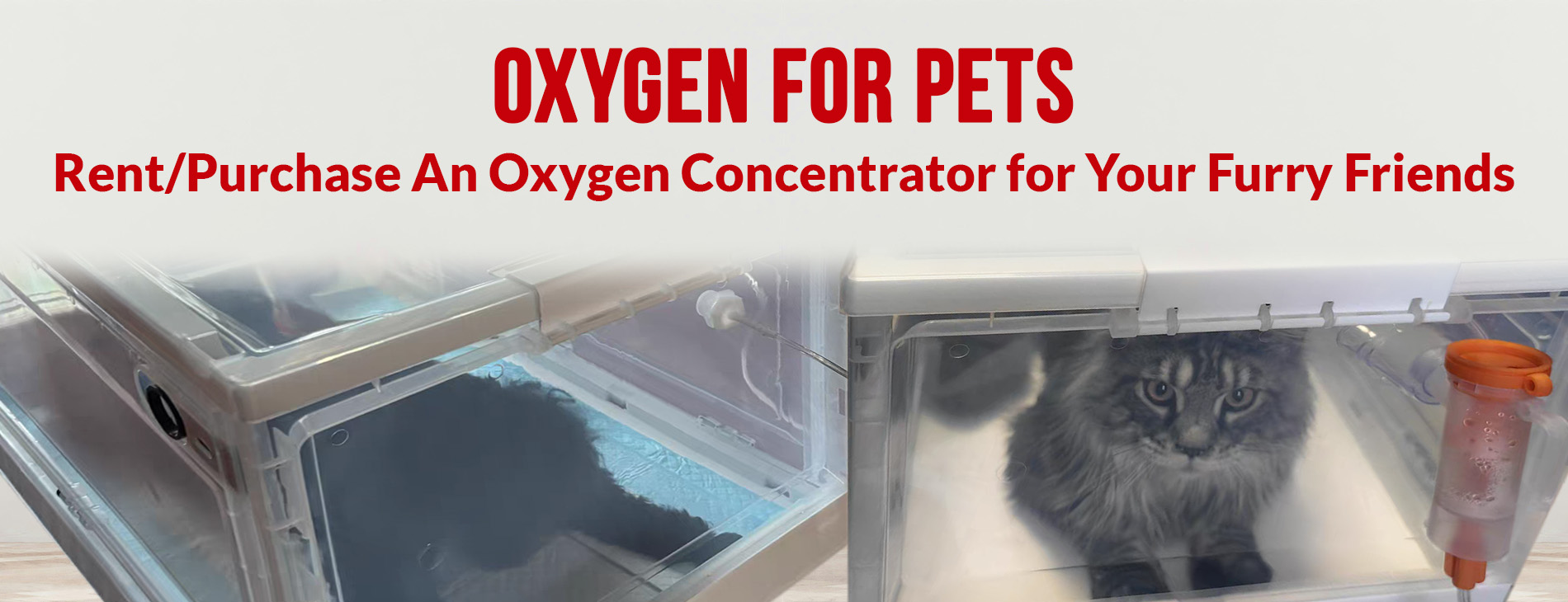 Pets Oxygen Concentrator